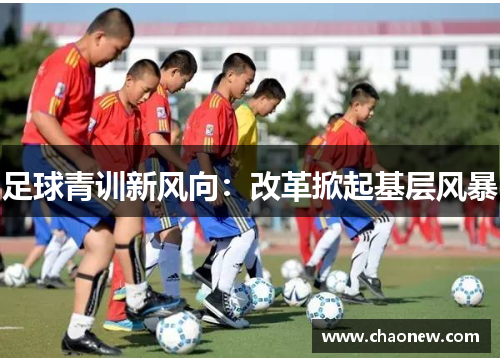 足球青训新风向：改革掀起基层风暴